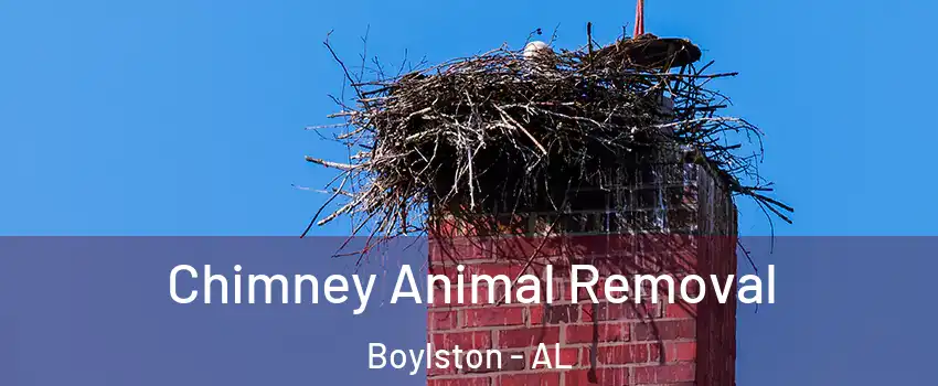 Chimney Animal Removal Boylston - AL