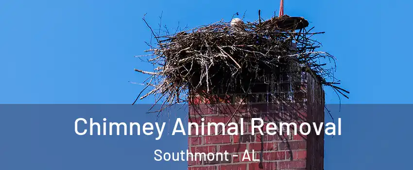 Chimney Animal Removal Southmont - AL