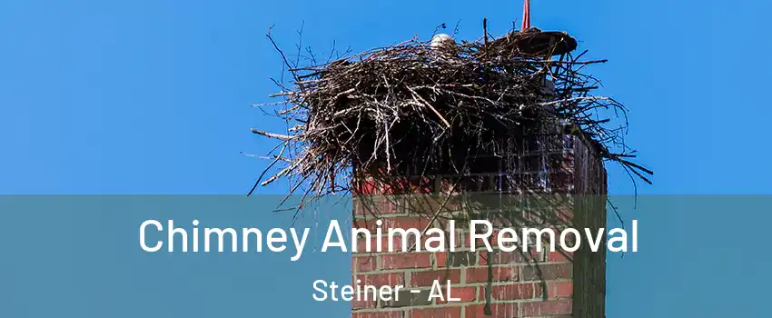 Chimney Animal Removal Steiner - AL