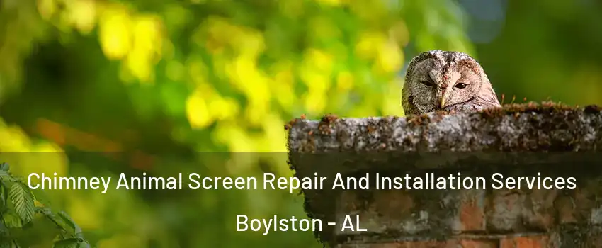 Chimney Animal Screen Repair And Installation Services Boylston - AL