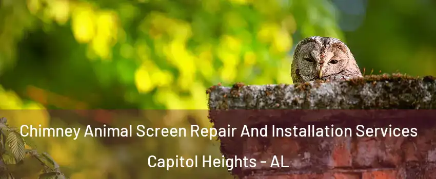 Chimney Animal Screen Repair And Installation Services Capitol Heights - AL