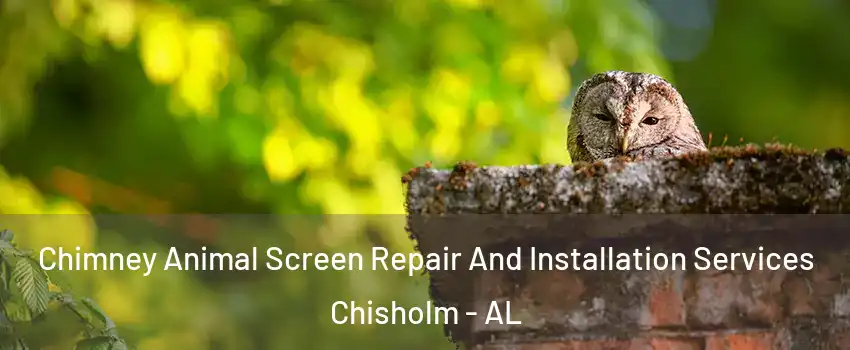 Chimney Animal Screen Repair And Installation Services Chisholm - AL