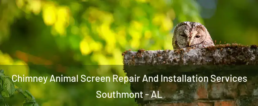 Chimney Animal Screen Repair And Installation Services Southmont - AL