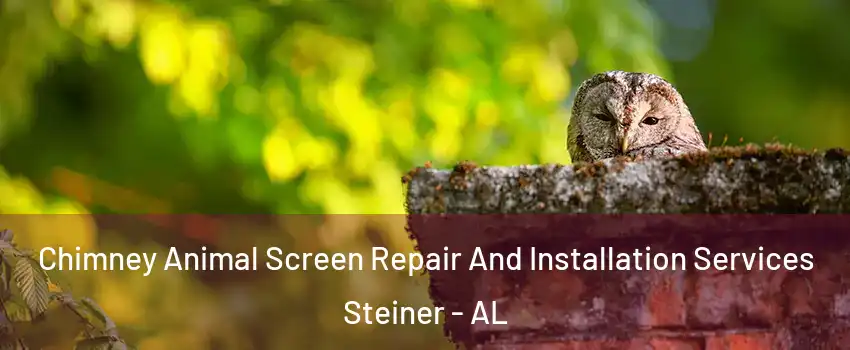 Chimney Animal Screen Repair And Installation Services Steiner - AL