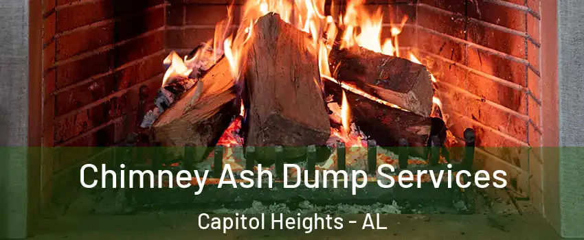 Chimney Ash Dump Services Capitol Heights - AL