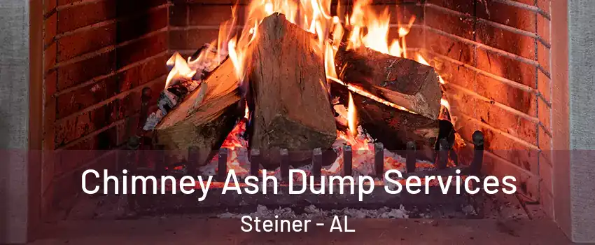 Chimney Ash Dump Services Steiner - AL