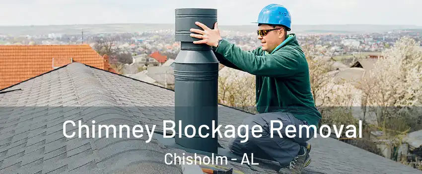 Chimney Blockage Removal Chisholm - AL