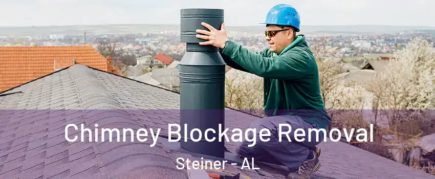 Chimney Blockage Removal Steiner - AL