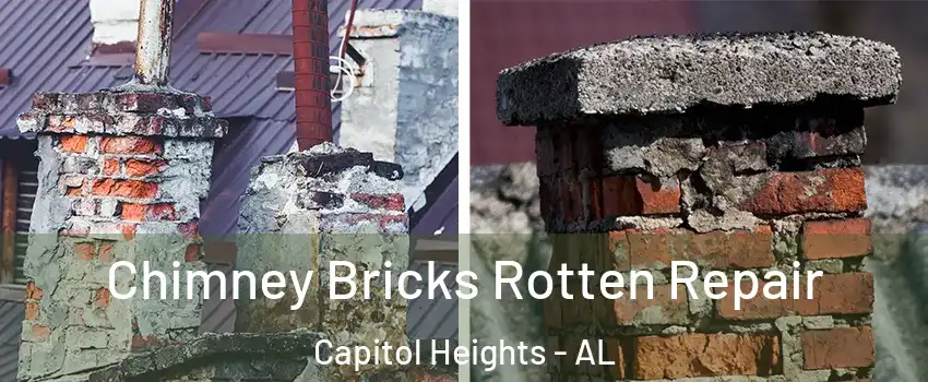 Chimney Bricks Rotten Repair Capitol Heights - AL