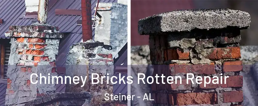 Chimney Bricks Rotten Repair Steiner - AL