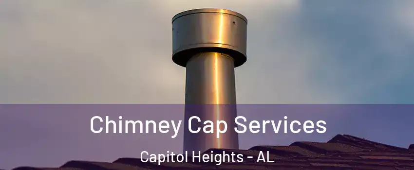 Chimney Cap Services Capitol Heights - AL