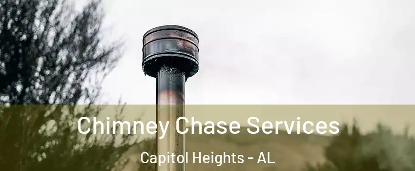 Chimney Chase Services Capitol Heights - AL