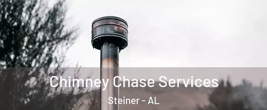Chimney Chase Services Steiner - AL