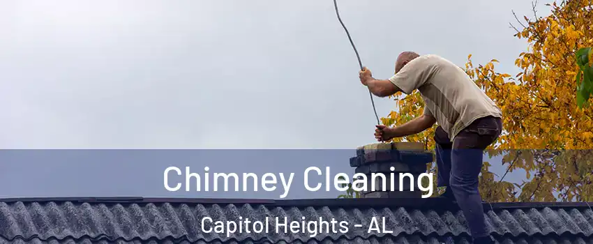 Chimney Cleaning Capitol Heights - AL