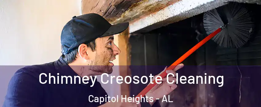 Chimney Creosote Cleaning Capitol Heights - AL