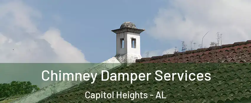 Chimney Damper Services Capitol Heights - AL