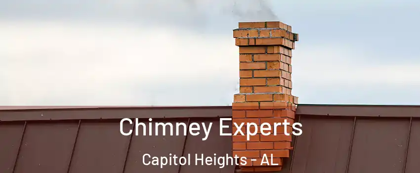 Chimney Experts Capitol Heights - AL