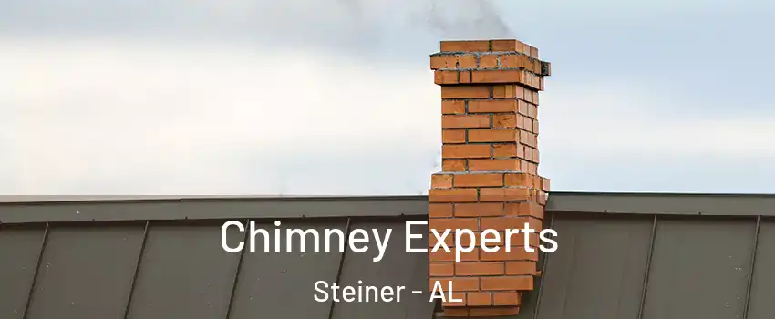 Chimney Experts Steiner - AL