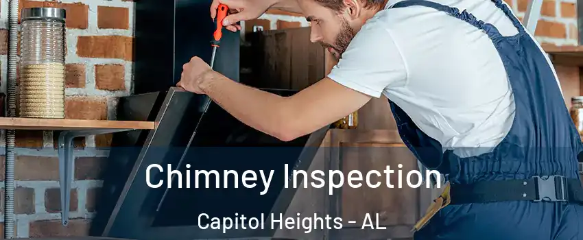 Chimney Inspection Capitol Heights - AL