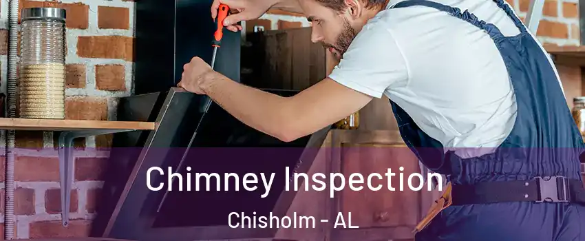 Chimney Inspection Chisholm - AL