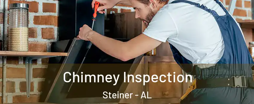 Chimney Inspection Steiner - AL