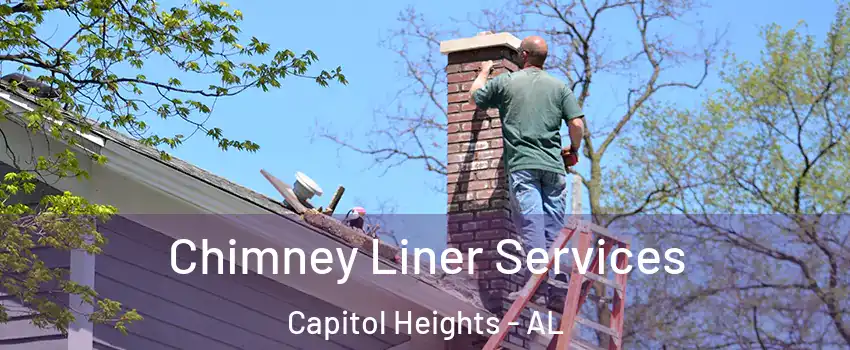 Chimney Liner Services Capitol Heights - AL