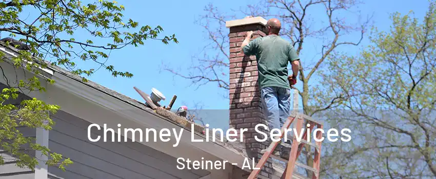 Chimney Liner Services Steiner - AL