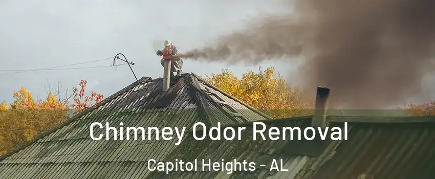 Chimney Odor Removal Capitol Heights - AL