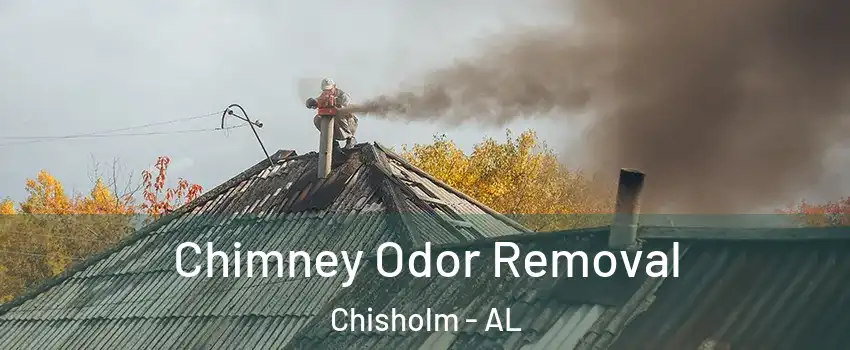 Chimney Odor Removal Chisholm - AL