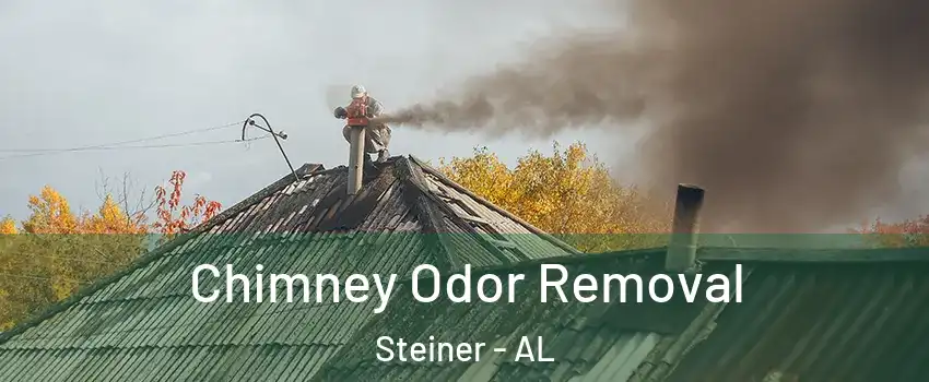 Chimney Odor Removal Steiner - AL