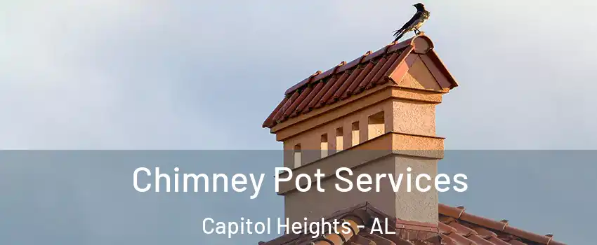 Chimney Pot Services Capitol Heights - AL