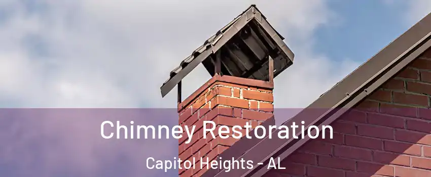 Chimney Restoration Capitol Heights - AL