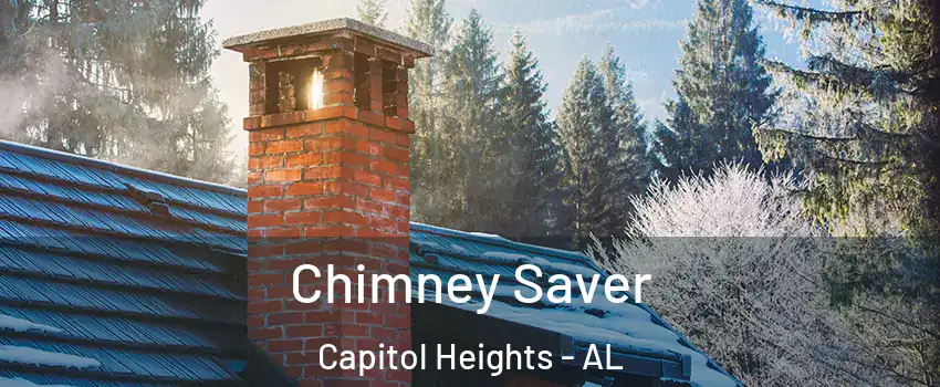 Chimney Saver Capitol Heights - AL