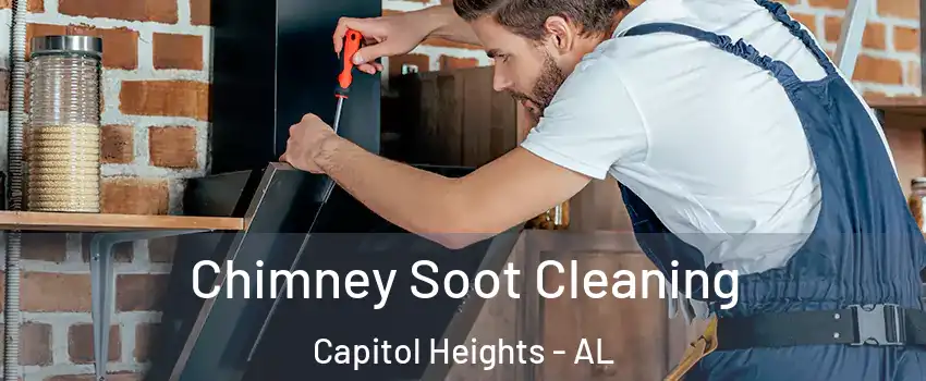Chimney Soot Cleaning Capitol Heights - AL