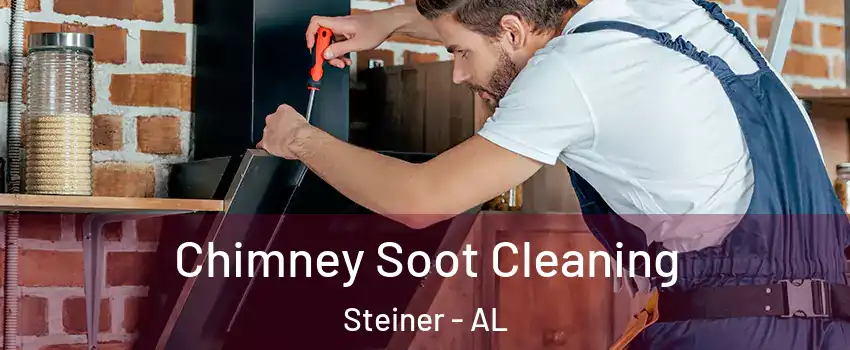 Chimney Soot Cleaning Steiner - AL