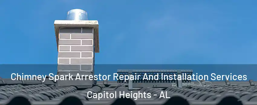 Chimney Spark Arrestor Repair And Installation Services Capitol Heights - AL