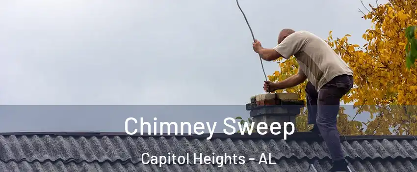 Chimney Sweep Capitol Heights - AL