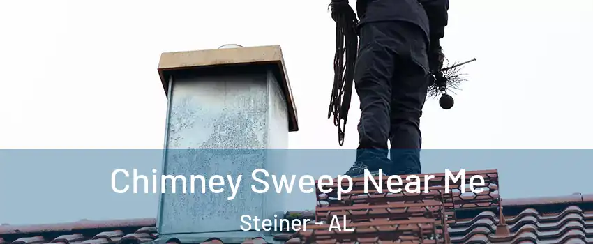 Chimney Sweep Near Me Steiner - AL