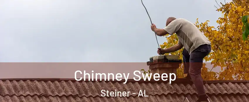 Chimney Sweep Steiner - AL