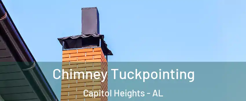 Chimney Tuckpointing Capitol Heights - AL