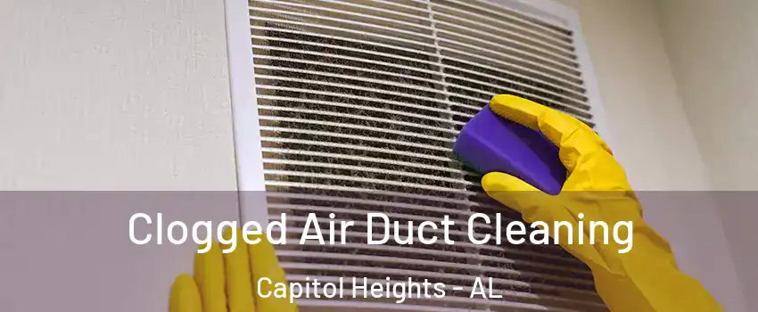 Clogged Air Duct Cleaning Capitol Heights - AL