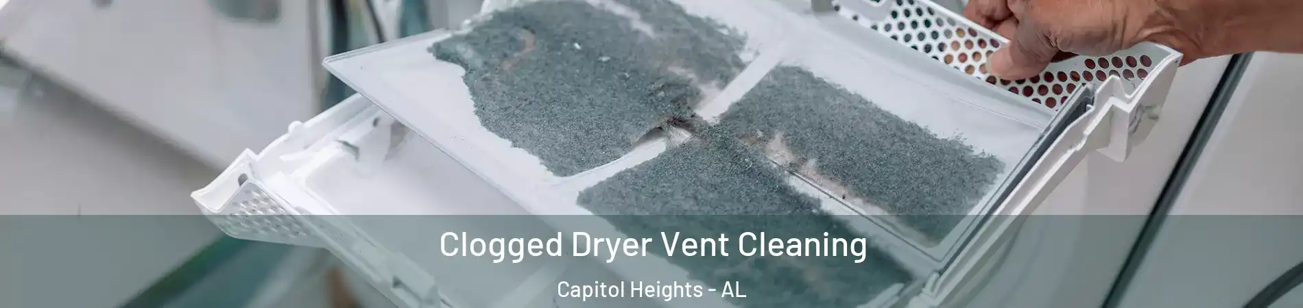 Clogged Dryer Vent Cleaning Capitol Heights - AL
