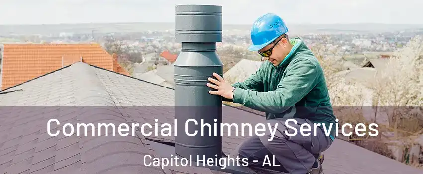 Commercial Chimney Services Capitol Heights - AL