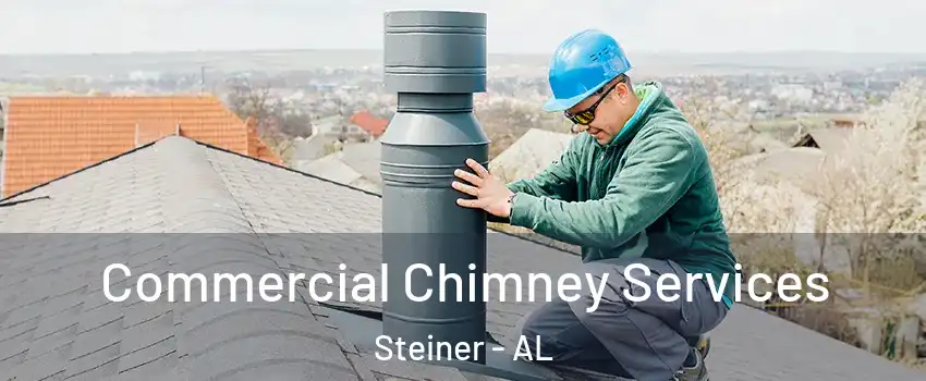 Commercial Chimney Services Steiner - AL