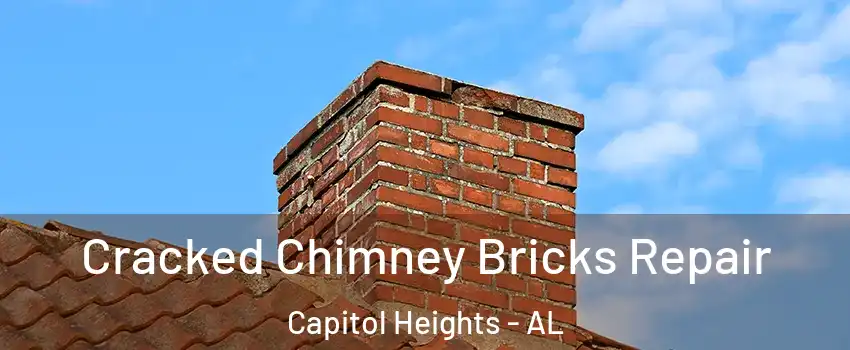 Cracked Chimney Bricks Repair Capitol Heights - AL