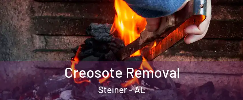 Creosote Removal Steiner - AL