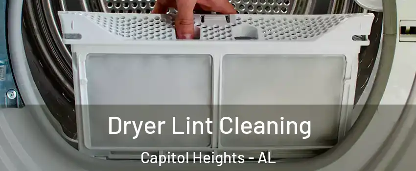 Dryer Lint Cleaning Capitol Heights - AL