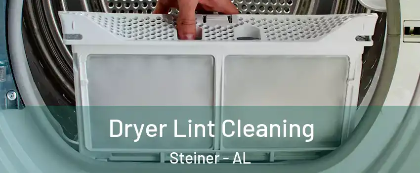 Dryer Lint Cleaning Steiner - AL