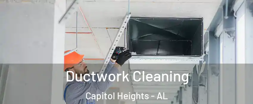 Ductwork Cleaning Capitol Heights - AL