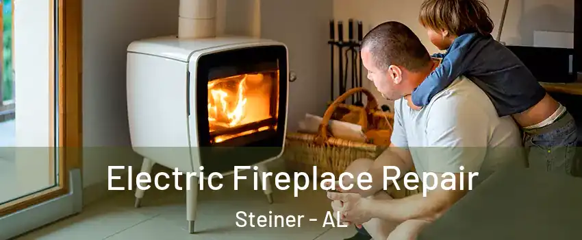 Electric Fireplace Repair Steiner - AL